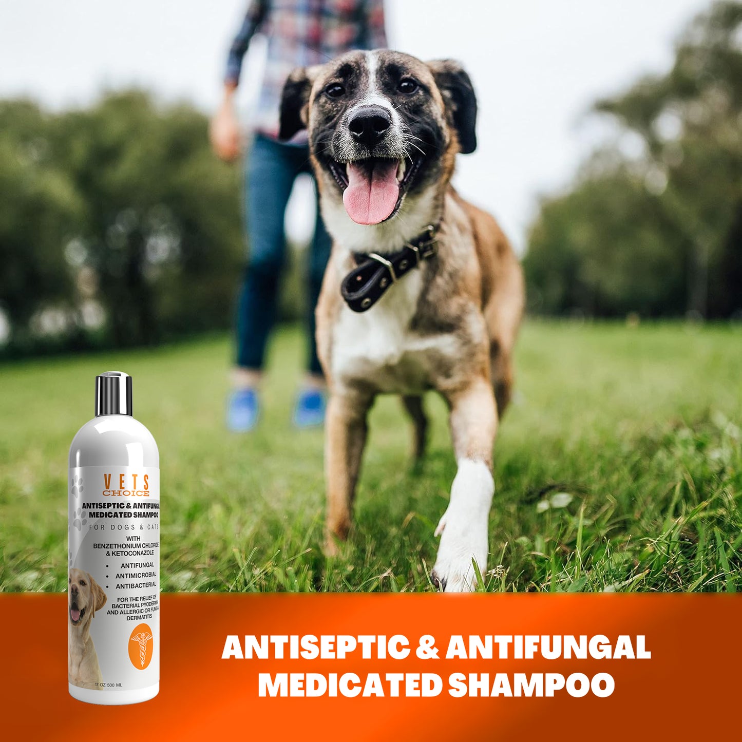 Vets Choice Antiseptic and Antifungal Medicated Dog Shampoo