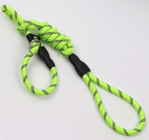 5ft  Reflective No Pull Nylon Slip Lead Dog Training Leash